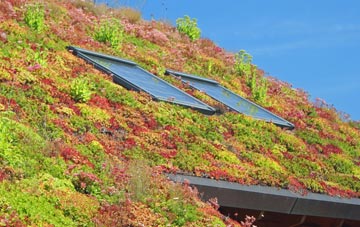 Grutness living roof systems